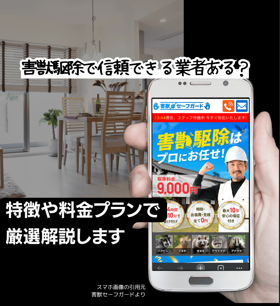 ネズミ駆除業者